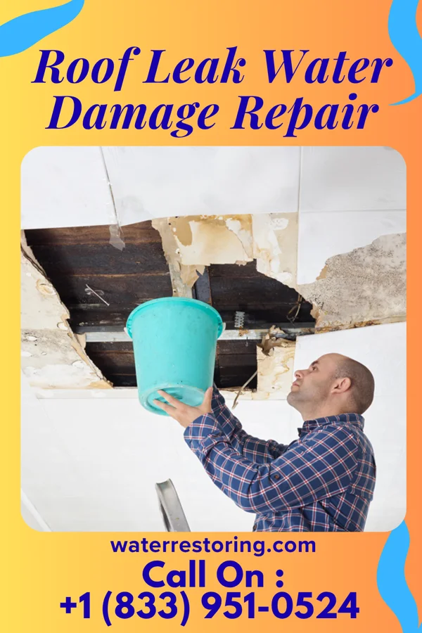 Roof Leak Water Damage Repair in Holly Hill, FL